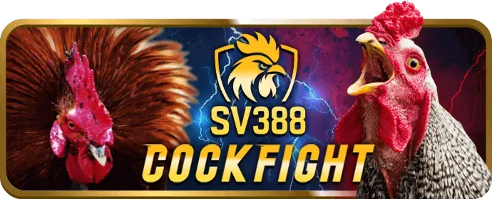 Cá cược bóng rổ inwin club